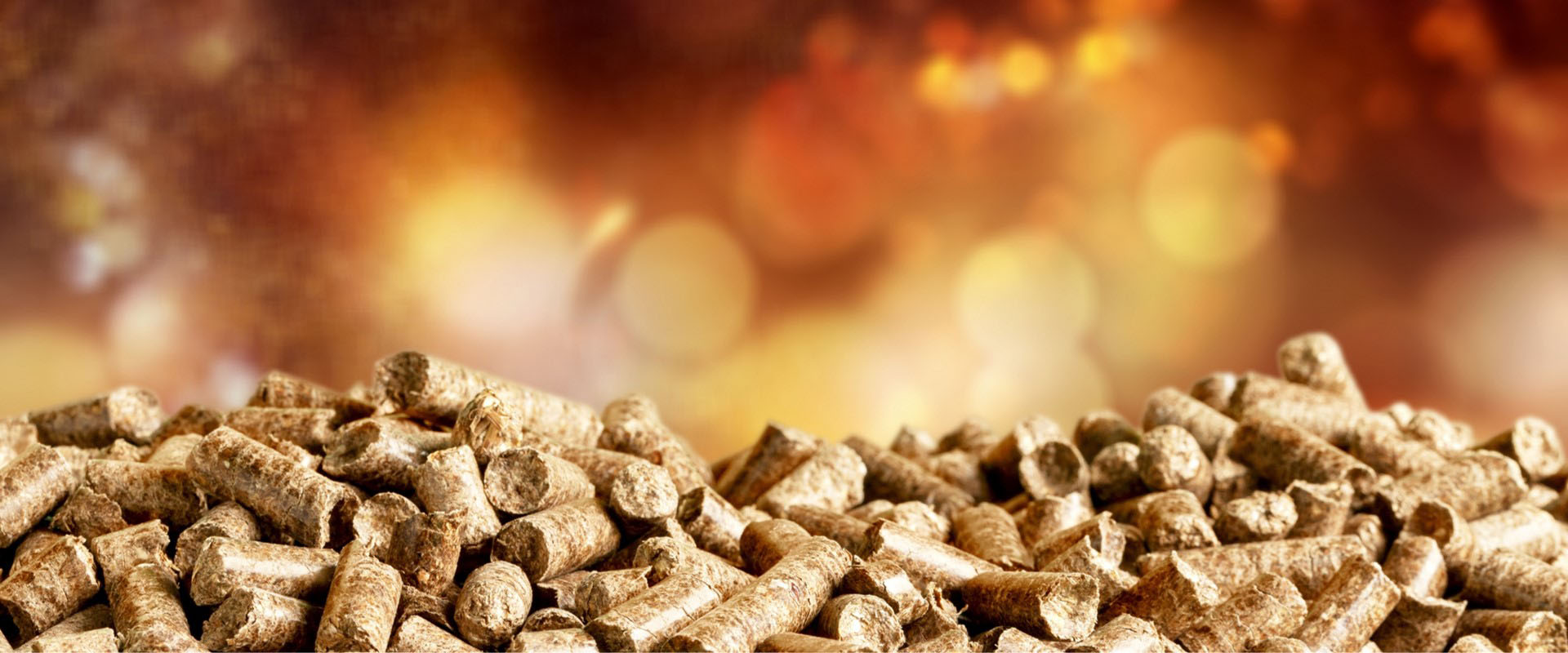 Pellet Pellet